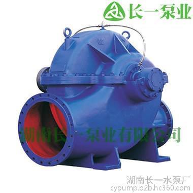 德州泵業(yè)廠家推薦長(zhǎng)一泵業(yè)SA型單級(jí)雙吸中開(kāi)泵圖片_高清圖_細(xì)節(jié)圖-湖南長(zhǎng)一水泵廠 -